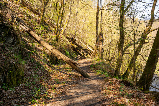 Harzer-Hexen-Stieg im Fr&uuml;hling bei Thale