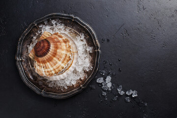 Fresh raw scallop in shell on vintage plate with crushed ice over black stone background. Overhead view, copy space © Zygonema