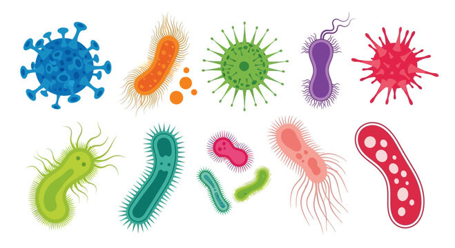 Variety of bacteria and virus illustrations