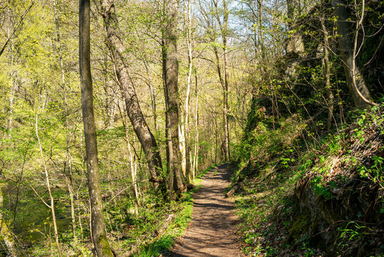 Das Bodetal im Fr&uuml;hling entdecken