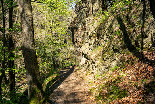 Fr&uuml;hlingswald und Felsen im Bodetal