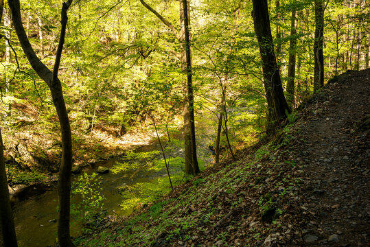 Fr&uuml;hlingslandschaft entlang des Harzer-Hexen-Stiegs