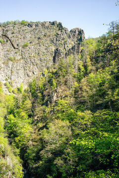 Gr&uuml;ne Landschaft im Herzen des Harz