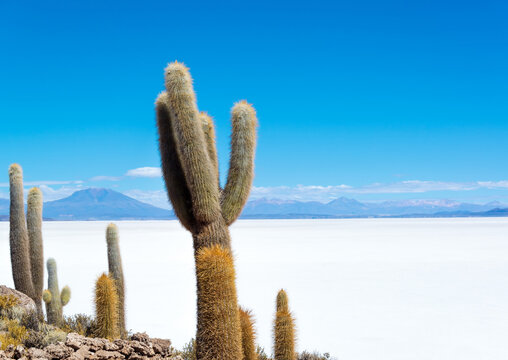 Salar De Uyuni