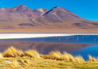 Laguna Colorada, Bolivia © Patrcia