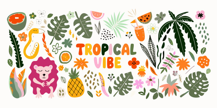 Tropical illustration with jungle plants fruits and animals on white background