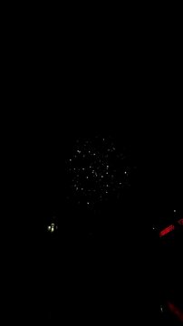 Colorful festive fireworks explode against the black sky. The sky lights up with fireworks. High quality 4k footage.	