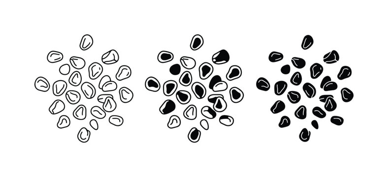 Hand Drawn Corn Kernels, Seed Illustration, Organic Food Elements, Black and White