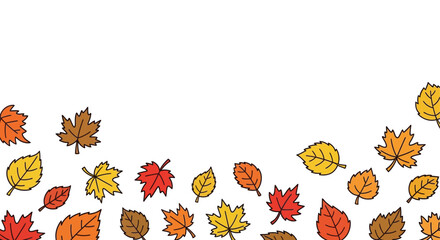 Obraz premium Autumn leaves pattern with colorful foliage on white background