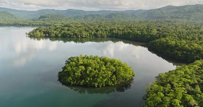 Lush green tropical rainforest covers small islands and surrounding land, creating serene coastal landscape with calm blue water reflecting cloudy sky in Solomon Islands. Aerial view drone panorama