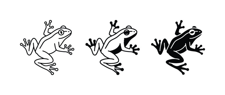Frog Vector Icons, Amphibian Silhouettes, Outline and Solid Styles