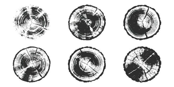 Set of hand drawn sketch wood log cross section circles showing tree rings and rough wood texture details