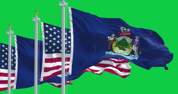 Maine state flags and the American flag waving in the wind isolated on green background. Seamless 3D render animation. Chroma key. Slow motion loop. Green screen. 4K. Selective focus