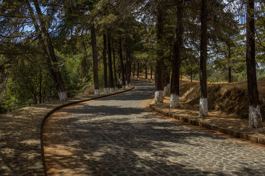 El Estribo Grande de P&aacute;tzcuaro, fotos realizadas el 28 de Febrero del 2026 por la tarde 
