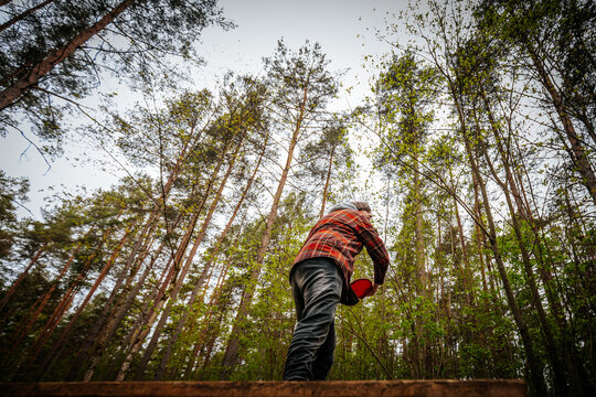 Individual wearing a plaid shirt and jeans stands on a wooden platform in a forest, looking up at tall trees and a clear sky above