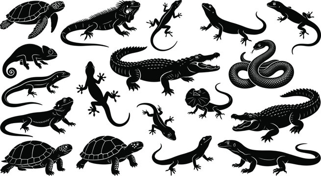 Reptile Silhouette Collection with Lizards Crocodiles Snakes and Turtles for Wildlife and Nature Graphic Design Projects