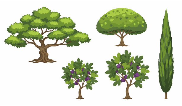 Vibrant green tree collection vector with fig trees lush foliage and botanical nature elements
