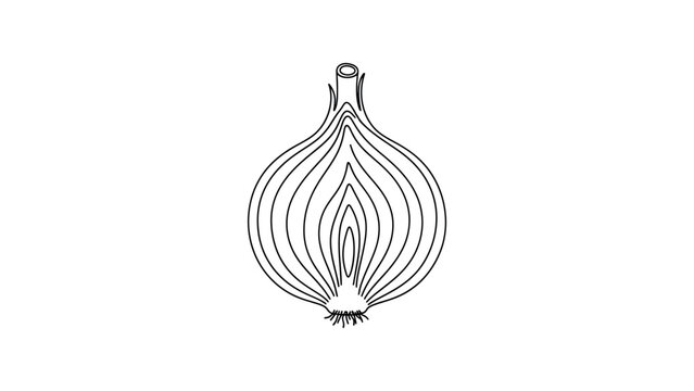 Drawing of a single onion bulb.