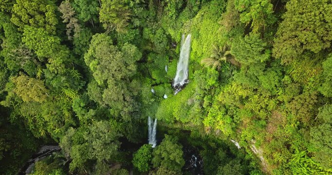 Sendang Gile Waterfall cascades down through the dense, vibrant green tropical jungle with towering trees and a rich ecosystem surrounding the water in Lombok, Indonesia. Aerial view drone panorama