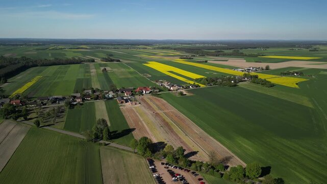 Wojew&oacute;dztwo Świętokrzyskie - Polska - pola tulipan&oacute;w i rzepaku nagrane dronem w maju, piękne kolory i widoki. Rzepak, film z drona, pole tulipan&oacute;w kolorowych, krajobraz wiejski
