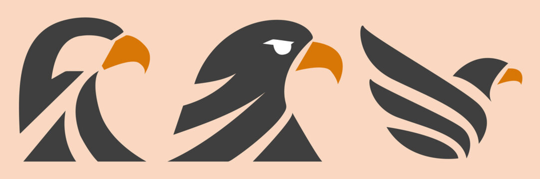Flat Eagle Head and Bird Vector Set &mdash; Bold Geometric Logo Icons in Dark Gray and Orange