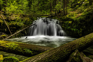 Fototapeta premium waterfall