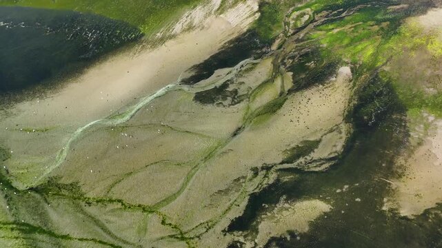 Aerial view of river estuary at low tide with algae