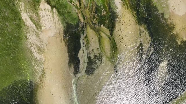 Aerial top down view of river estuary with sandbanks and algae