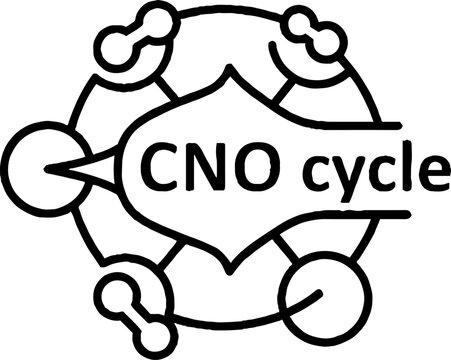 CNO Cycle Nuclear Fusion Science Diagram