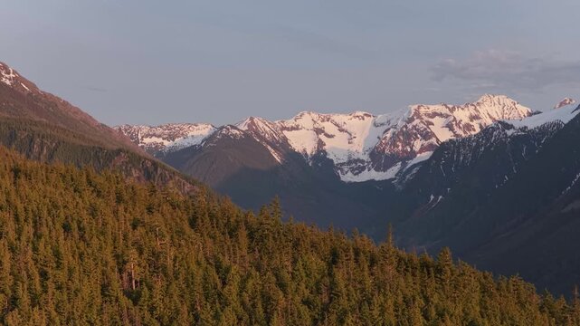 Serene British Columbia Landscape: Forested Mountains and Snow-Covered Peaks at Dawn