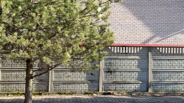 Cottage fence pine trees under blue sky, sunlit siding and red tile roof, weathered wooden fence lining gravel verge, mature pine