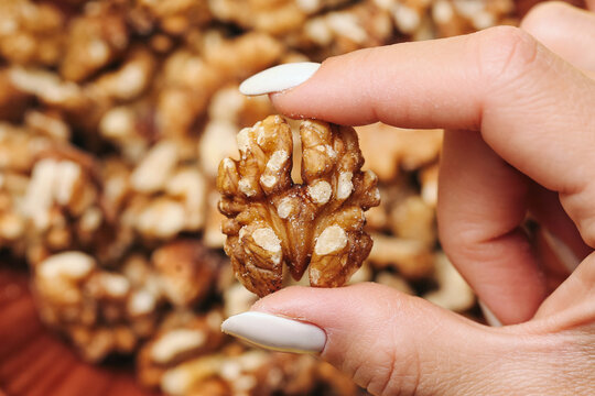 Woman holding walnut kernel between fingers. Healthy natural nut snack close up with blurred walnuts background. Organic food and nutrition concept. Detailed macro scene.