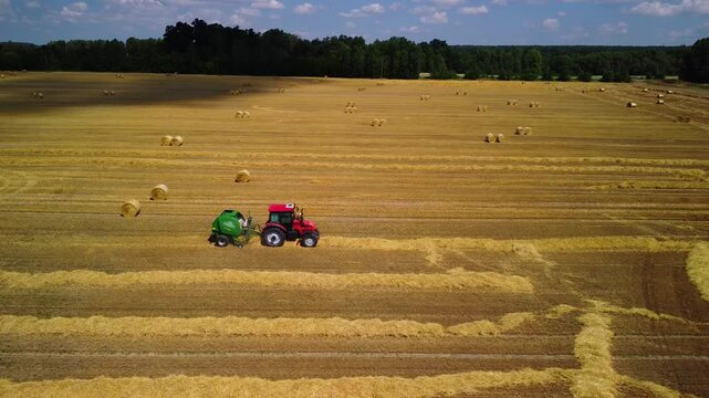Mechanized collection and rolling of straw into bales in the field after the grain harvest. A tractor with a baler works in the field in the summer. Agricultural work on farmland.