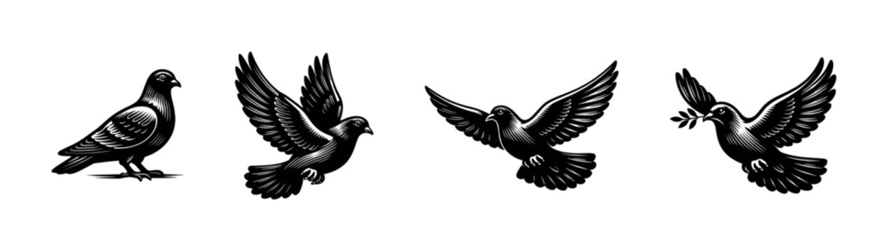 Black and white vector illustrations of doves in various poses silhouette bird elements