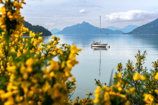 Howe Sound Calm Anchorage. A calm water on Howe Sound with a sailboat at anchor, British Columbia, Canada.
