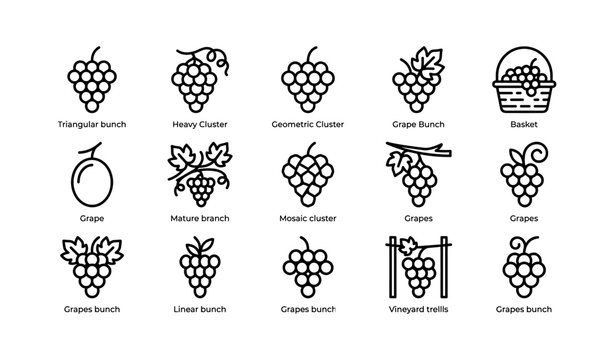 Grape and vineyard icons arranged on white background