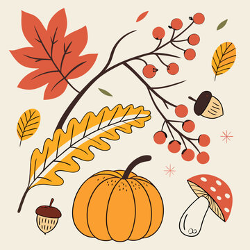 Autumn elements, colorful fall foliage, hand-drawn illustrations, pumpkin, mushrooms, acorn, chestnut, berries, maple leaf, oak leaf, apple, whimsical style, flat design, nature-inspired, seasonal mot