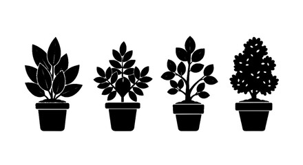 Fototapeta premium Vector illustration of set of potted plants silhouettes, indoor house plants in pots, vector illustration on a transparent background