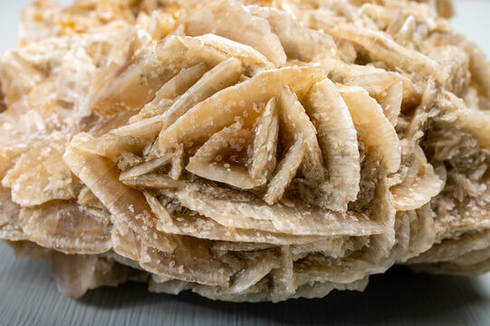 Large Desert Rose Selenite Raw Sand Rose Crystal Gypsum Rosette mineral