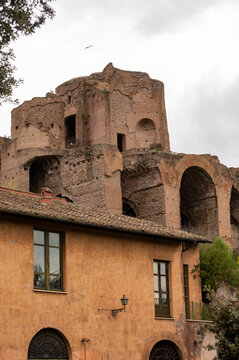 Spring vacation in Rome, view on castle ruins on Palatine hill, green pine trees and old buildings, Italy