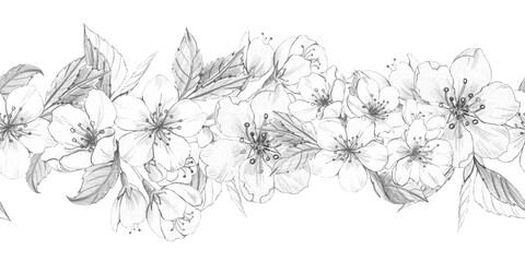 Seamless floral horizontal border with detailed hand-drawn pencil sketch of spring blossoms cherry and apple, leaves, illustration for wedding stationery and botanical product packaging design © Oksana