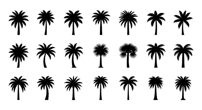 collection of diverse palm tree silhouettes for tropical and travel themes