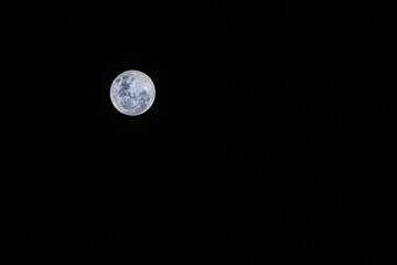 Luna © Cristian Romero 