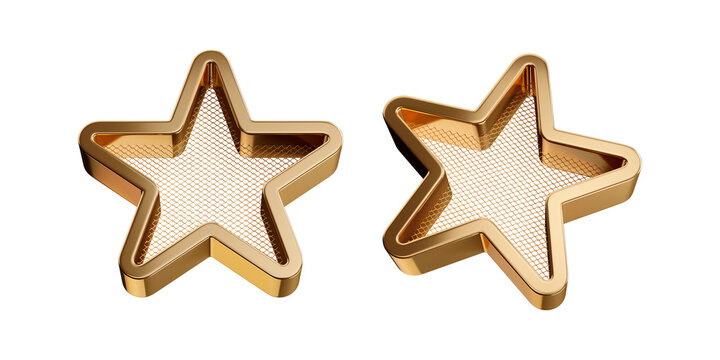  3D Golden Star Icon with Metal Grid Texture Two Views