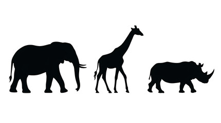 Fototapeta premium Black silhouettes of elephant, giraffe, and rhinoceros walking together.