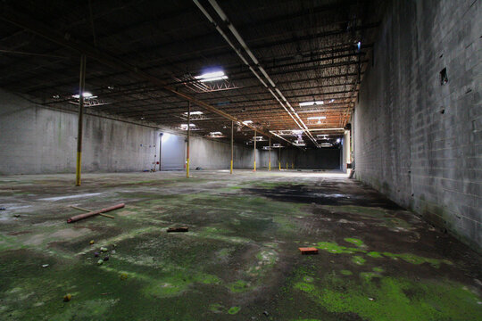 Moss-Covered Concrete Floor of Abandoned Warehouse with Yellow Safety Bollards