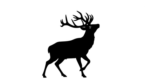 Majestic male deer stag with large antlers silhouette on white background
