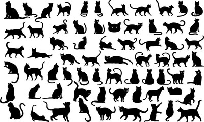 Fototapeta premium Large Collection of Black Cat Silhouettes in Various Poses — 70+ Vector Icon Set on White Background for Design and Decoration Use