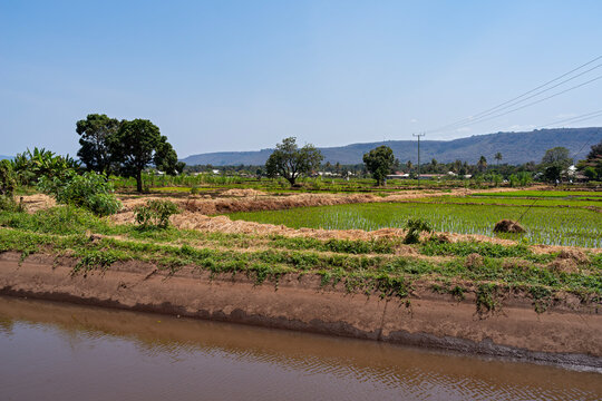 irrigation canal along field of rice paddies on edge of village and mountains on horizon