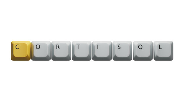  Computer keyboard keys with text CORTISOL. financial market. financing.close up of Computer keyboard keys,Business Concept.Supports PNG files with transparent backgrounds.